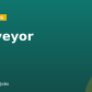 Surveyor