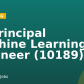 AI Principal Machine Learning Engineer (10189)