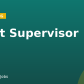 Fleet Supervisor