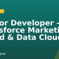 Senior Developer – Salesforce Marketing Cloud & Data Cloud