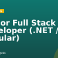 Senior Full Stack Developer (.NET / Angular)