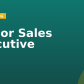 Senior Sales Executive