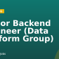 Senior Backend Engineer (Data Platform Group)