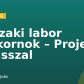 Műszaki labor gyakornok – Projekt fókusszal