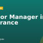 Senior Manager in Insurance